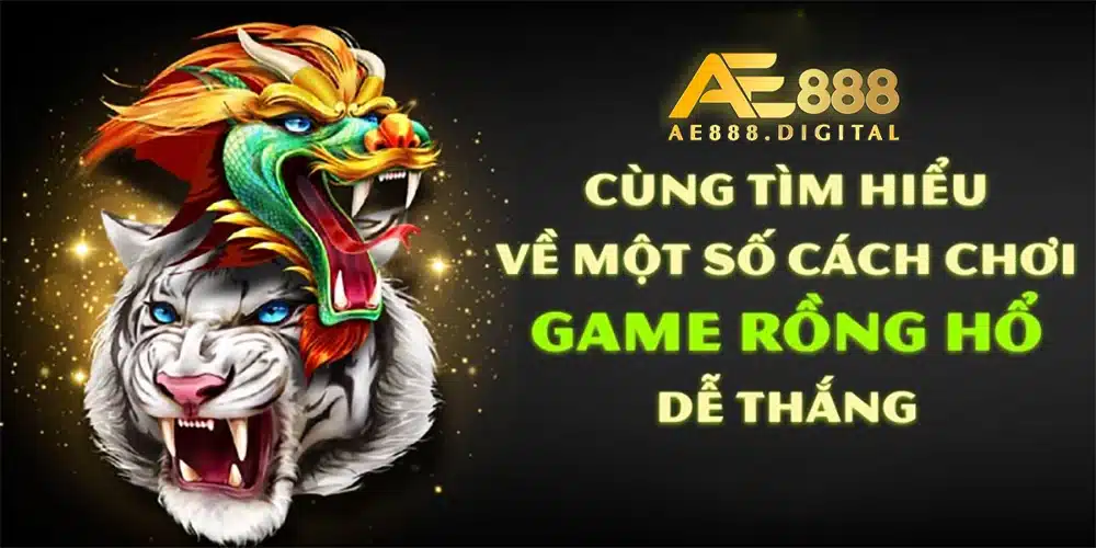 Khi tham gia chơi Rồng hổ, người chơi sẽ có khá nhiều lựa chọn đặt cược. Dưới đây là các cách đặt cược phổ biến nhất mà bạn có thể tham khảo