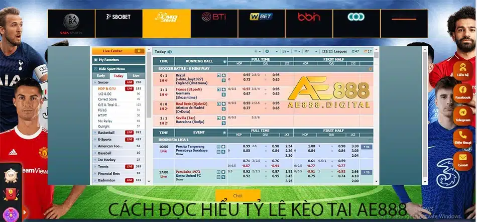 hướng dẫn Cách đọc hiểu tỷ lệ kèo tại AE888