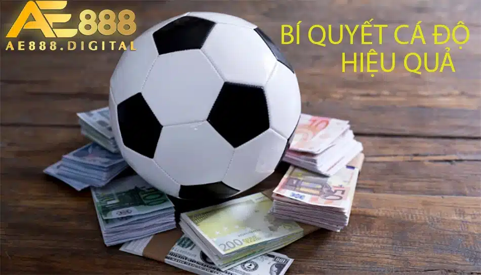 một số Tầm quan trọng của bí quyết cá cược hiệu quả ae888