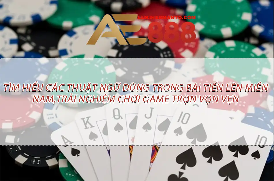 Lí do cần tìm hiểu các thuật ngữ trong bài Tiến Lên Miền Nam